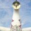ちあき